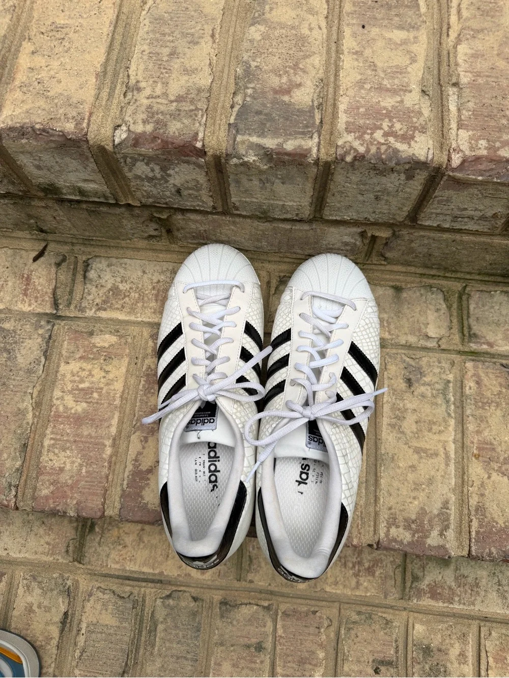 Adidas Superstar Snakeskin D70171 White Black Men’s 11
